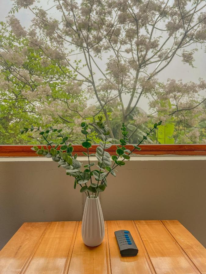 Cosiana Homestay Ninh Binh Exterior photo
